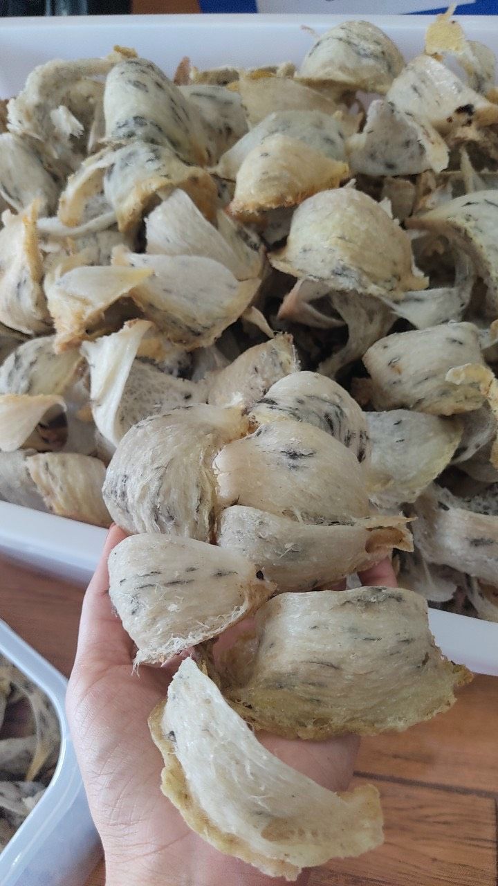 Yến sào thô nguyên tổ xuất khẩu (100 gram)