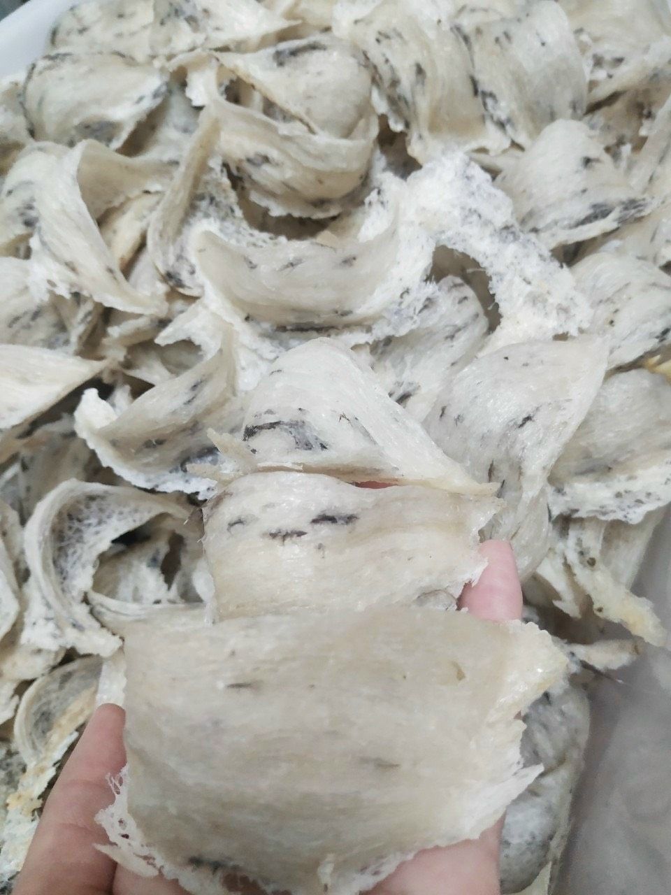 Yến sào thô nguyên tổ xuất khẩu (100 gram)