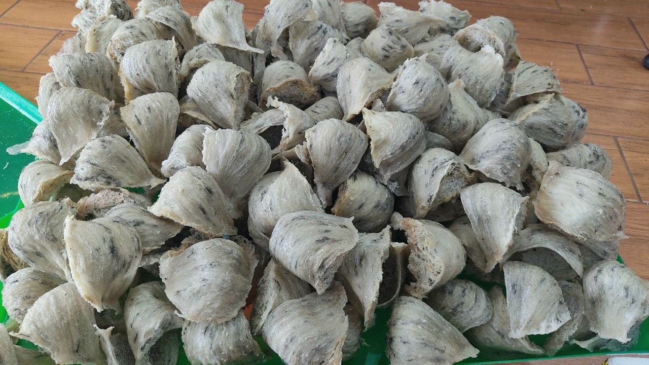 Yến sào thô nguyên tổ xuất khẩu (100 gram)