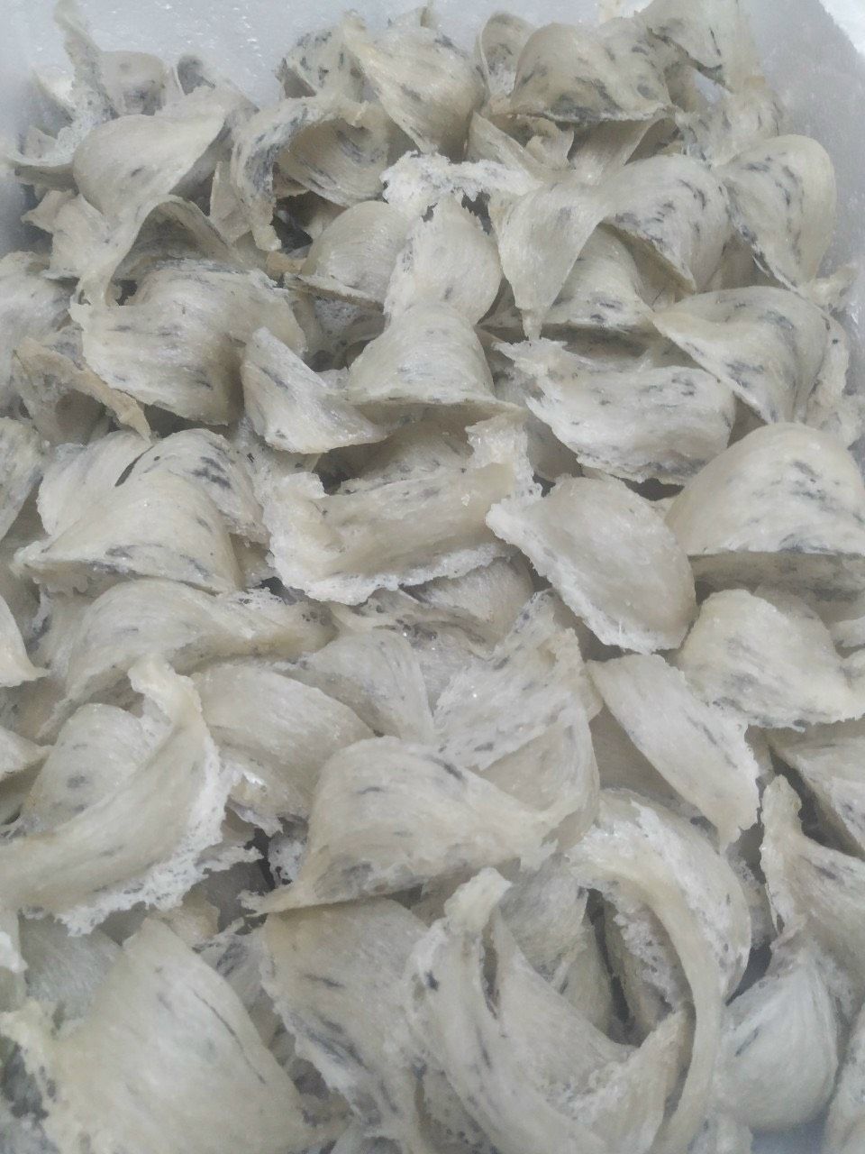 Yến sào thô nguyên tổ xuất khẩu (100 gram)