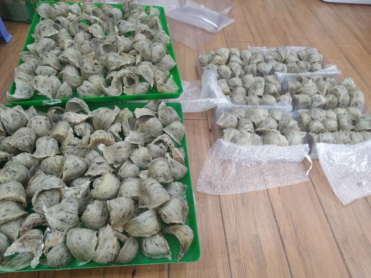 Yến sào thô nguyên tổ xuất khẩu (100 gram)