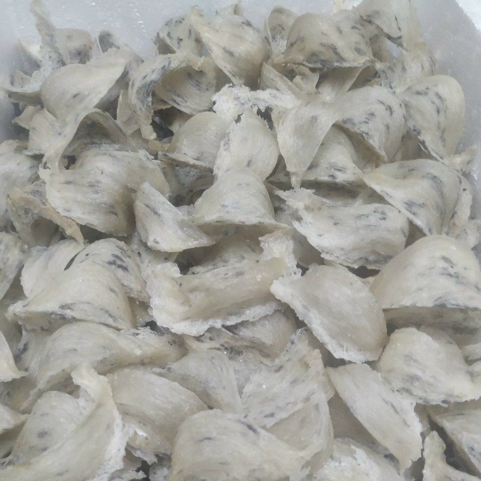 Yến sào thô nguyên tổ xuất khẩu (100 gram)