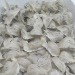 Yến sào thô nguyên tổ xuất khẩu (100 gram)